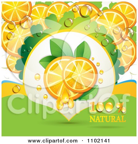 Clipart Natural Orange Slices - Royalty Free Vector Illustration by merlinul