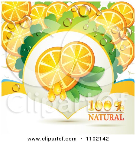 Clipart Natural Orange Slices On White 3 - Royalty Free Vector Illustration by merlinul