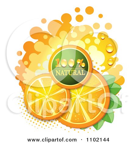Clipart Natural Orange Slices Over Halftone And Circles On White 7 - Royalty Free Vector Illustration by merlinul
