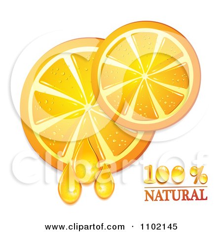 Clipart Natural Orange Slices On White 1 - Royalty Free Vector Illustration by merlinul