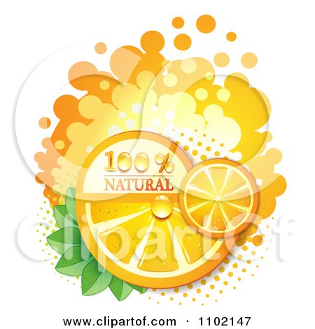 Clipart Natural Orange Slices Over Halftone And Circles On White 5 - Royalty Free Vector Illustration by merlinul