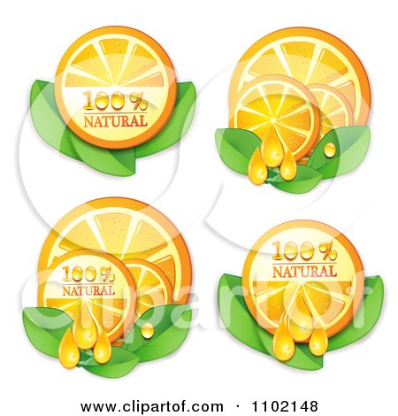 Clipart Natural Juicy Orange Slices On White - Royalty Free Vector Illustration by merlinul