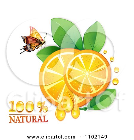 Clipart Natural Orange Slices And A Butterfly On White 1 - Royalty Free Vector Illustration by merlinul