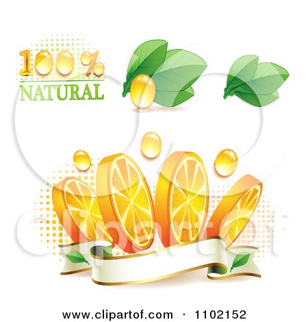 Clipart Natural Orange Slices Over Halftone And Circles On White 1 - Royalty Free Vector Illustration by merlinul