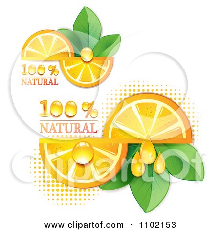 Clipart Natural Orange Slices Over Halftone And Circles On White 2 - Royalty Free Vector Illustration by merlinul