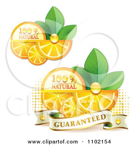 Clipart Natural Orange Slices Over Halftone And Circles On White 3 - Royalty Free Vector Illustration by merlinul