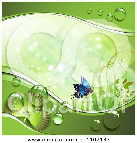 Clipart St Patricks Day Background Of A Blue Butterfly Grass Sunlight Shamrocks And Dew 1 - Royalty Free Vector Illustration by merlinul
