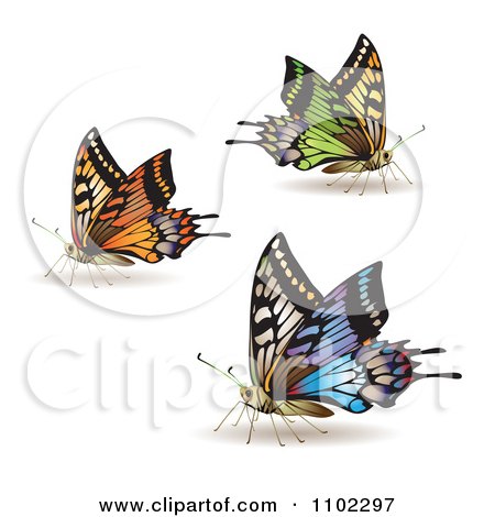 Clipart Colorful Butterflies 2 - Royalty Free Vector Illustration by merlinul