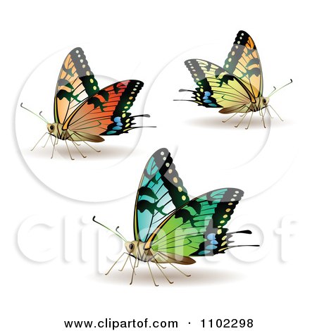Clipart Colorful Butterflies 1 - Royalty Free Vector Illustration by merlinul