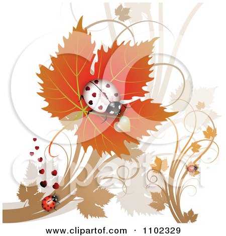 Clipart White Heart Spotted Ladybug On A Leaf - Royalty Free Vector Illustration by merlinul