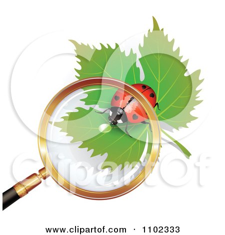 Clipart Magnifying Glass Over A Heart Spotted Ladybug - Royalty Free Vector Illustration by merlinul