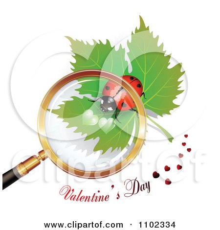Clipart Valentines Day Text Under A Magnifying Glass Over A Heart Spotted Ladybug 1 - Royalty Free Vector Illustration by merlinul