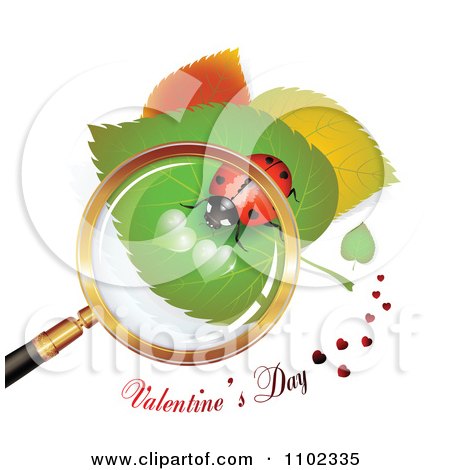 Clipart Valentines Day Text Under A Magnifying Glass Over A Heart Spotted Ladybug 2 - Royalty Free Vector Illustration by merlinul