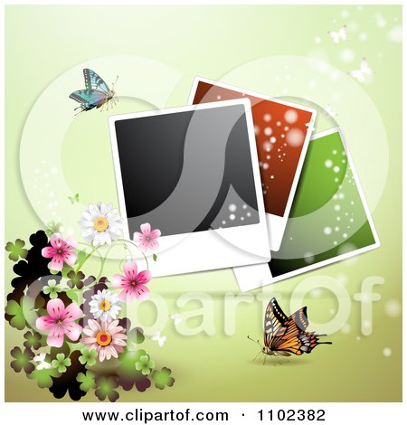 Clipart Instant Photo And Butterfly Background 7 - Royalty Free Vector Illustration by merlinul