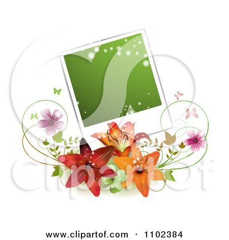 Clipart Green Instant Photo Over Lilies Blossoms And Butterflies - Royalty Free Vector Illustration by merlinul