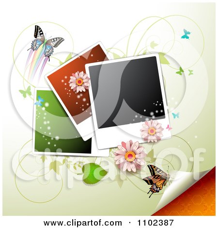 Clipart Butterfly And Instant Photo Background 2 - Royalty Free Vector Illustration by merlinul