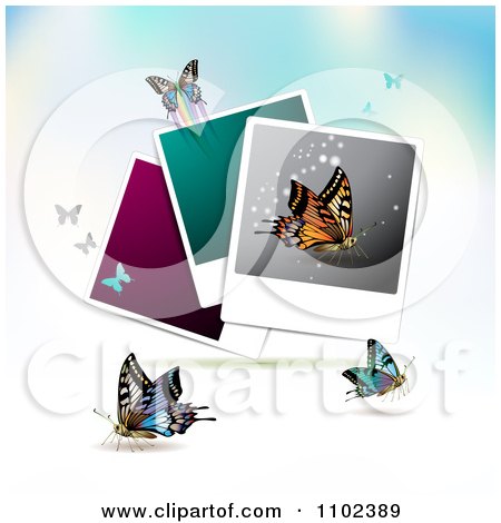 Clipart Instant Photo And Butterfly Background 3 - Royalty Free Vector Illustration by merlinul