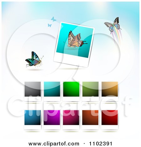 Clipart Instant Photo And Butterfly Background 5 - Royalty Free Vector Illustration by merlinul