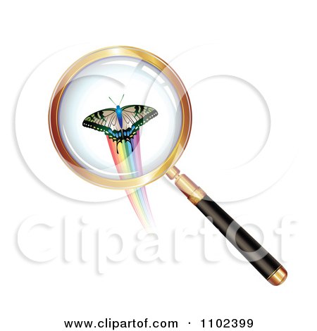 Clipart Round Magnifying Glass Over A Butterfly 1 - Royalty Free Vector Illustration by merlinul