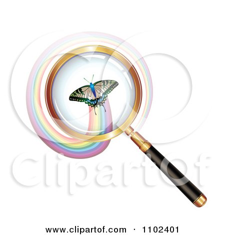 Clipart Round Magnifying Glass Over A Butterfly 2 - Royalty Free Vector Illustration by merlinul