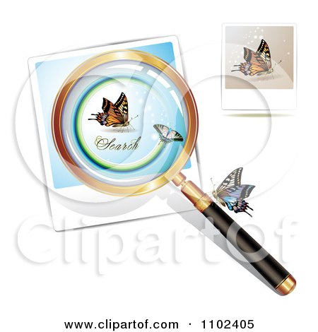 Clipart Magnifying Glass And Butterflies 5 - Royalty Free Vector Illustration by merlinul