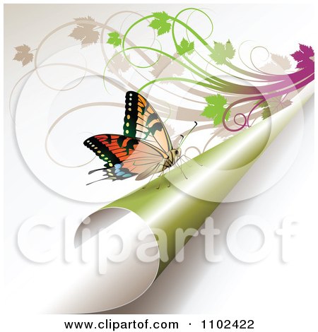 Clipart Butterfly On A Turning Green Page 3 - Royalty Free Vector Illustration by merlinul