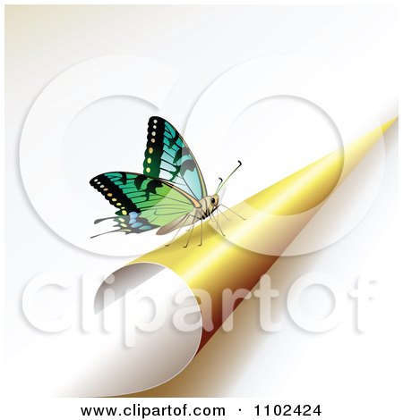Clipart Butterfly On A Turning Yellow Page 2 - Royalty Free Vector Illustration by merlinul