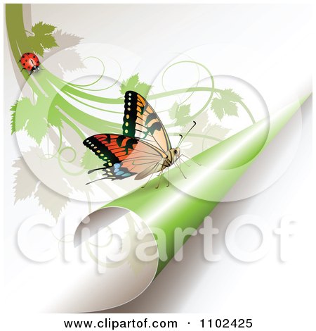 Clipart Butterfly On A Turning Green Page 2 - Royalty Free Vector Illustration by merlinul