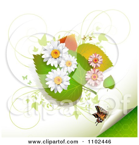 Clipart Butterfly Daisy And Leaf Background 4 - Royalty Free Vector Illustration by merlinul