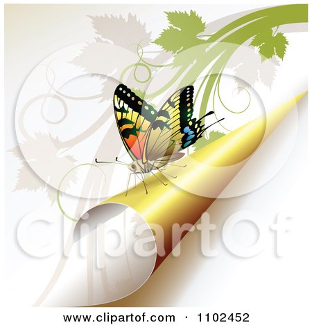 Clipart Butterfly On A Turning Yellow Page 1 - Royalty Free Vector Illustration by merlinul