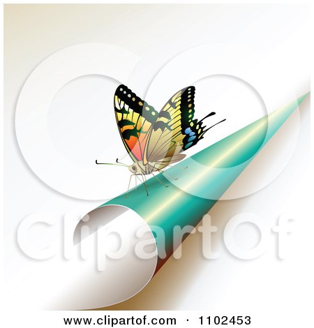Clipart Butterfly On A Turning Turquoise Page - Royalty Free Vector Illustration by merlinul