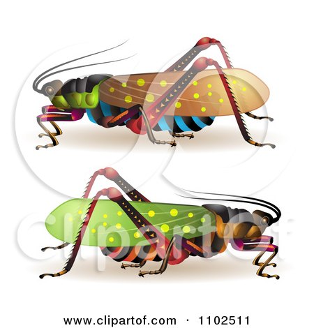 Clipart Colorful Locusts - Royalty Free Vector Illustration by merlinul