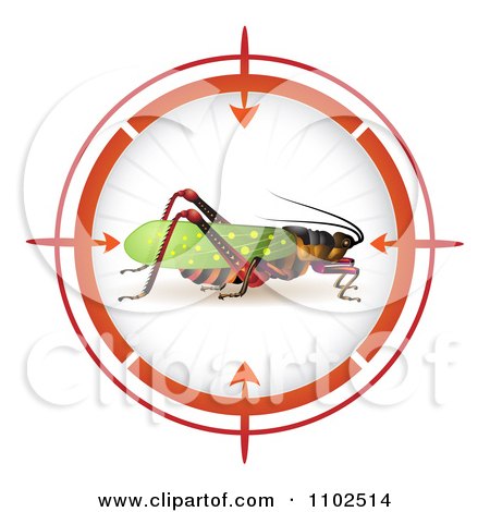 Clipart Locust In A Target Viewfinder 1 - Royalty Free Vector Illustration by merlinul