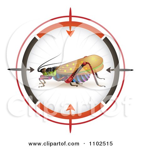 Clipart Locust In A Target Viewfinder 2 - Royalty Free Vector Illustration by merlinul