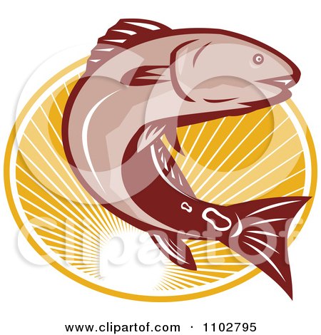 Clipart Retro Red Drum Bass Fish Leaping Over An Oval Of Rays - Royalty Free Vector Illustration by patrimonio