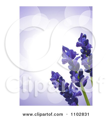 Clipart 3d Lavender Flowers Over Purple Flares, With White Edges - Royalty Free Vector Illustration by elaineitalia