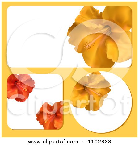 Clipart Rectangular Square And Round Hibiscus Flower Frames On Yellow - Royalty Free Vector Illustration by elaineitalia