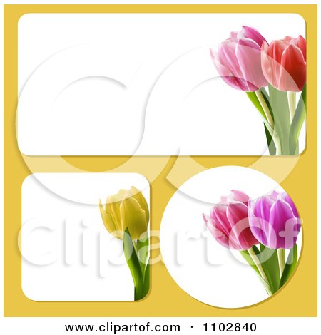 Clipart Rectangular Square And Round Tulip Flower Frames On Yellow - Royalty Free Vector Illustration by elaineitalia