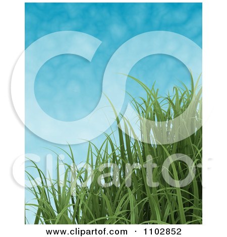 Clipart 3d Green Grass Blades Against A Sky With Faint Clouds - Royalty Free CGI Illustration by KJ Pargeter
