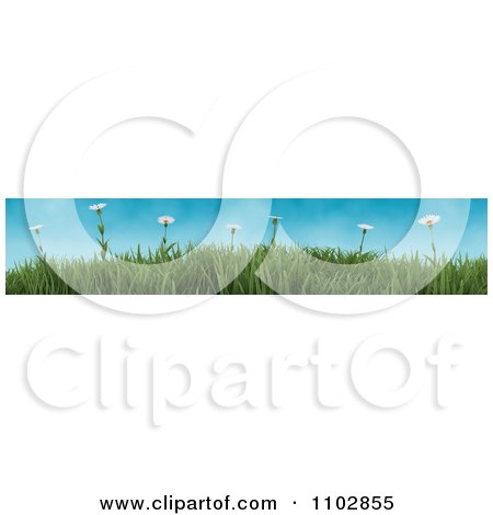 Clipart 3d Border Of Wild Daisies And Grass Against A Blue Sky - Royalty Free CGI Illustration by KJ Pargeter