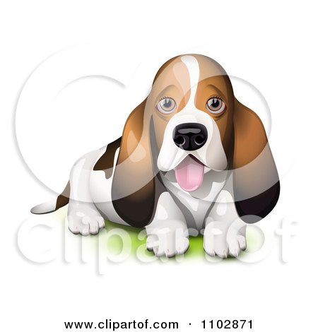 Clipart Panting Basset Hound Puppy - Royalty Free Vector Illustration by Oligo