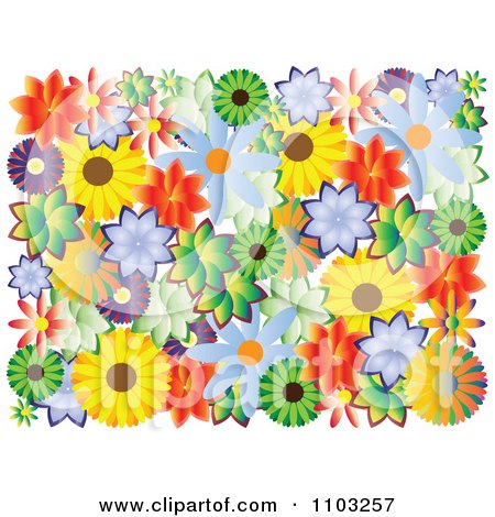 Clipart Colorful Flowers On White - Royalty Free Vector Illustration by Andrei Marincas