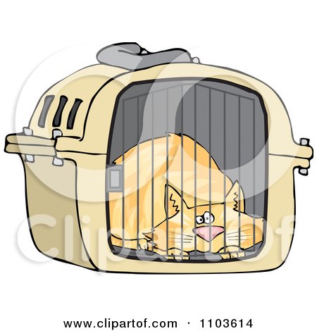 Clipart Scared Orange Cat In A Pet Carrier - Royalty Free Vector Illustration by djart