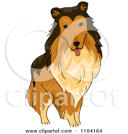 Clipart Happy Collie Dog - Royalty Free Vector Illustration by BNP Design Studio