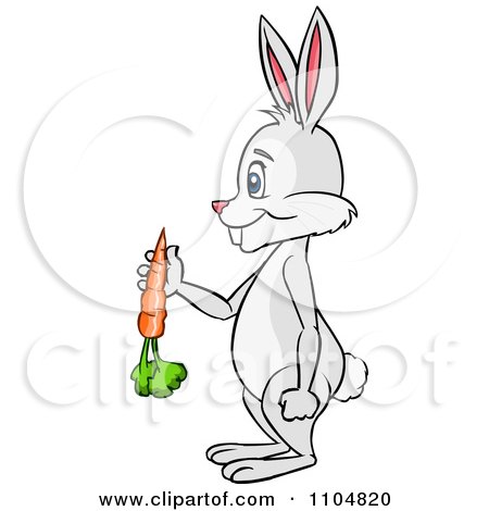 Clipart Happy Rabbit Holding A Carrot And Standing Upright In Profile - Royalty Free Vector Illustration by Cartoon Solutions