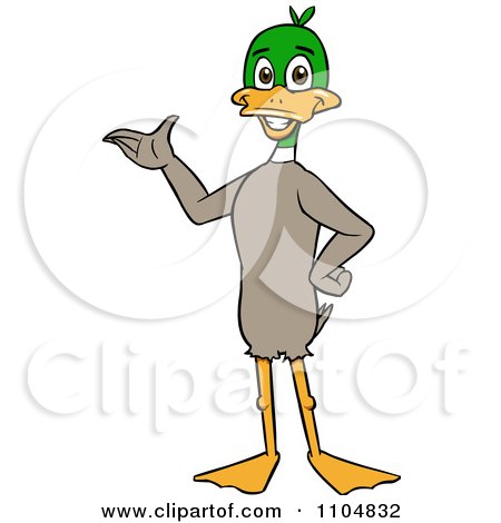 Clipart Happy Mallard Duck Standing Upright And Presenting - Royalty Free Vector Illustration by Cartoon Solutions