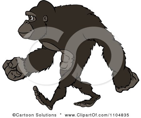 Clipart Happy Strong Gorilla Walking Upright - Royalty Free Vector Illustration by Cartoon Solutions