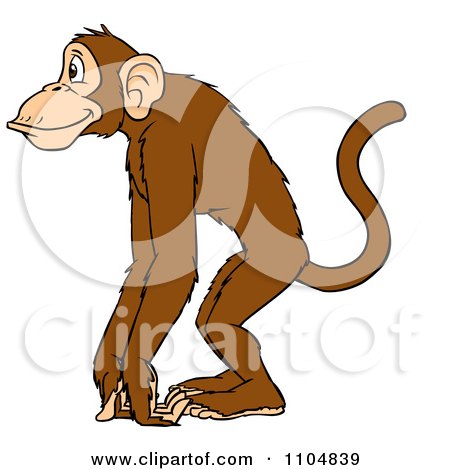 Clipart Happy Monkey In Profile - Royalty Free Vector Illustration by Cartoon Solutions