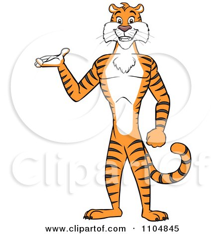 Clipart Happy Tiger Presenting And Standing Upright - Royalty Free Vector Illustration by Cartoon Solutions