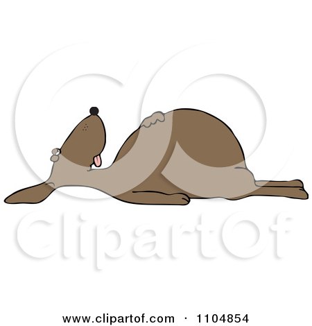 Clipart Dead Brown Dog On Its Back - Royalty Free Vector Illustration by djart
